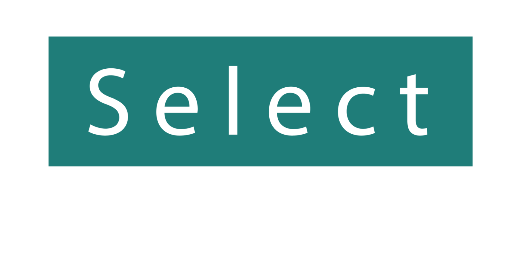 Select Motorsport Ltd